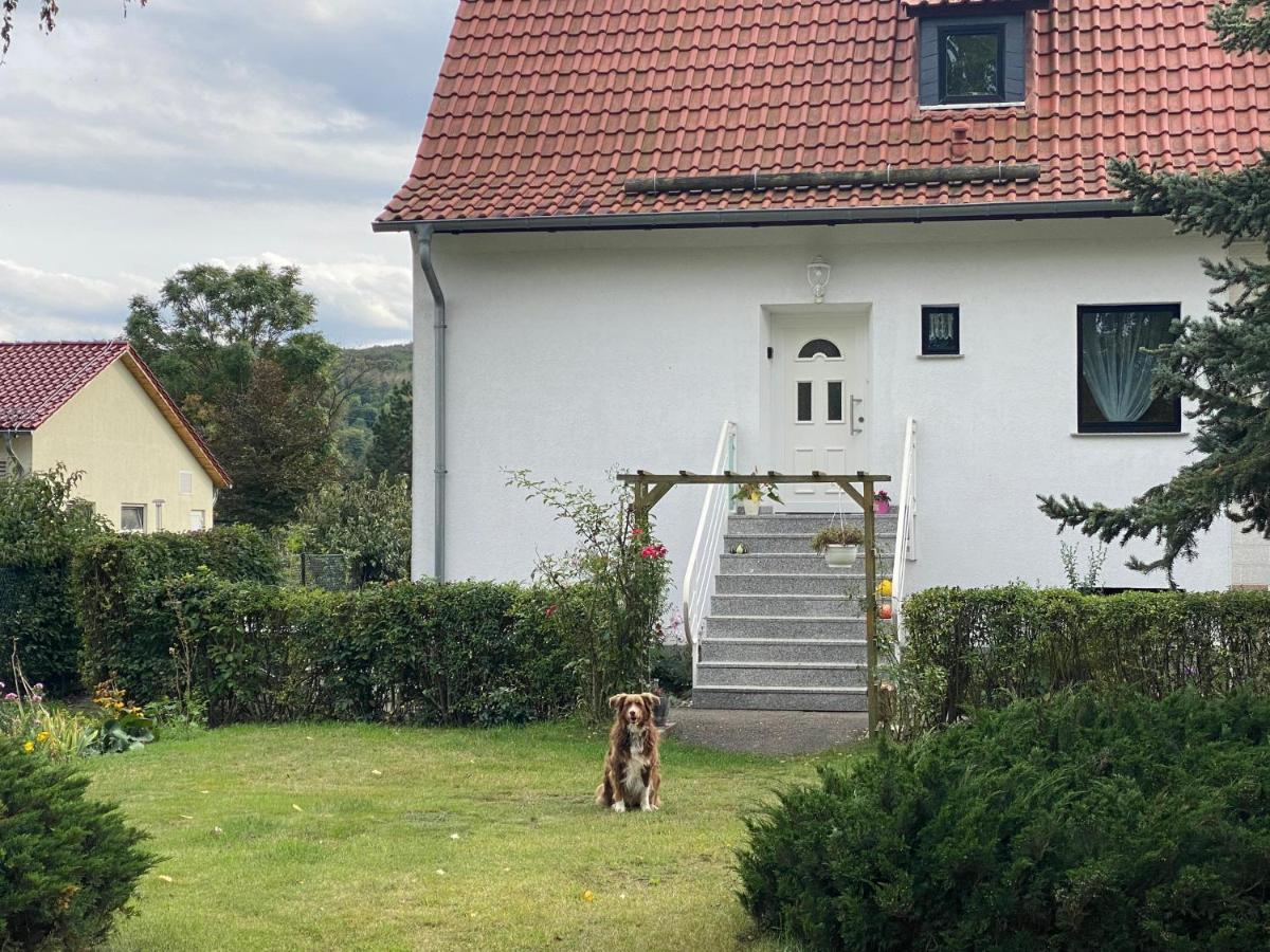 Ferienhaus Am Muehlgraben ターレ エクステリア 写真