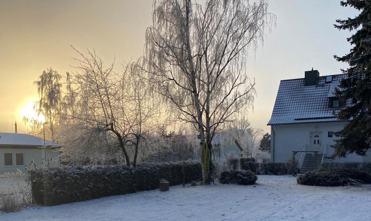 Ferienhaus Am Muehlgraben ターレ エクステリア 写真