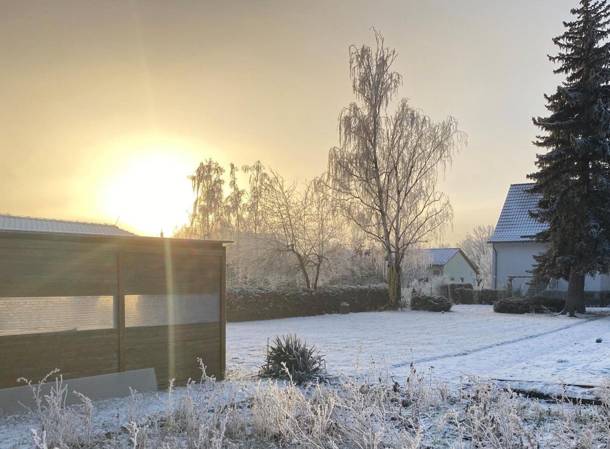 Ferienhaus Am Muehlgraben ターレ エクステリア 写真
