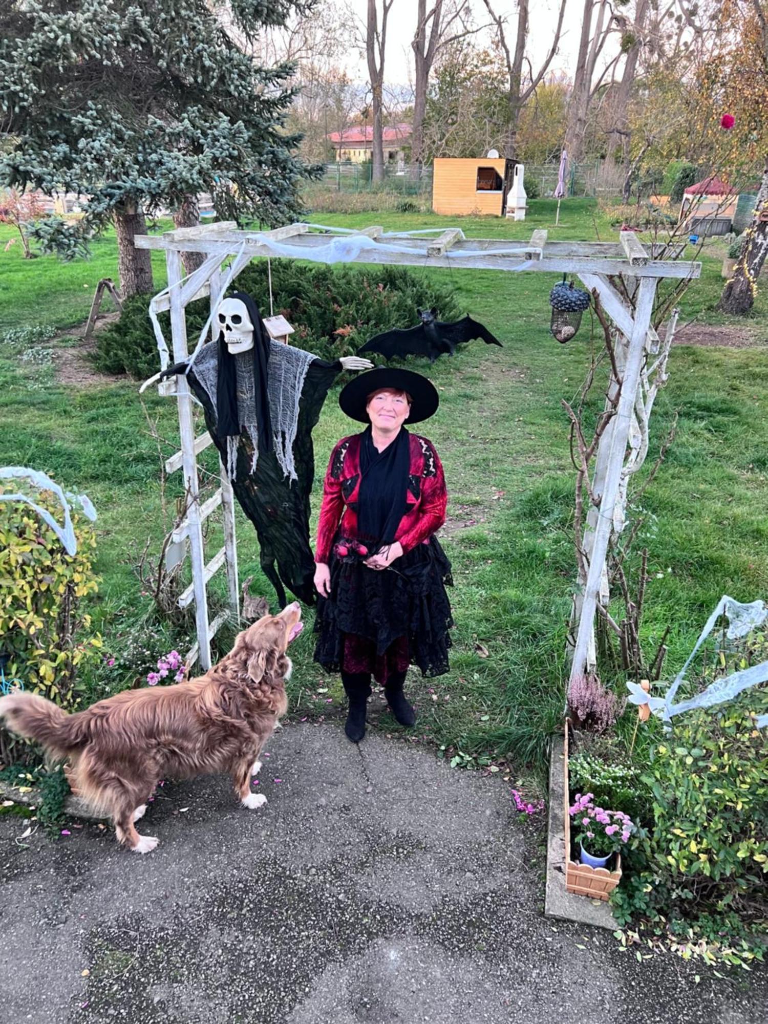 Ferienhaus Am Muehlgraben ターレ エクステリア 写真